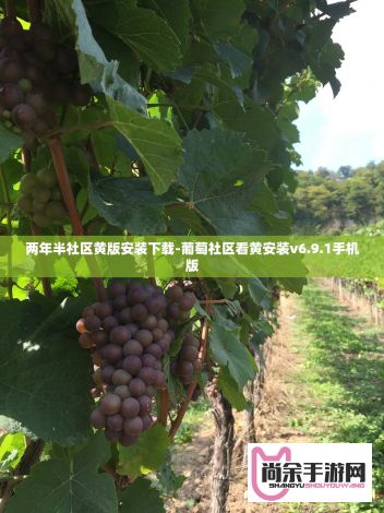 两年半社区黄版安装下载-葡萄社区看黄安装v6.9.1手机版